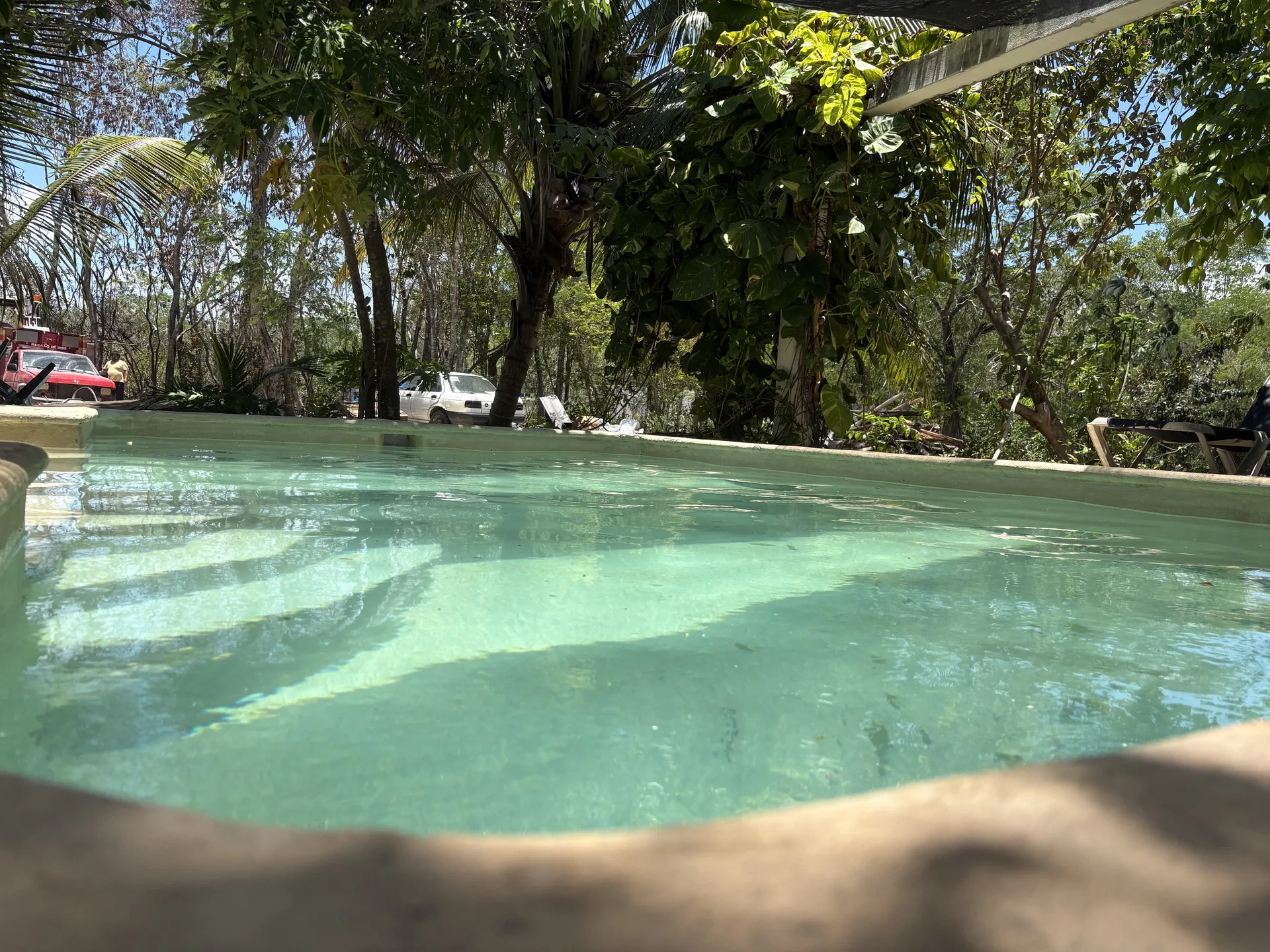 Alberca rodeada de selva