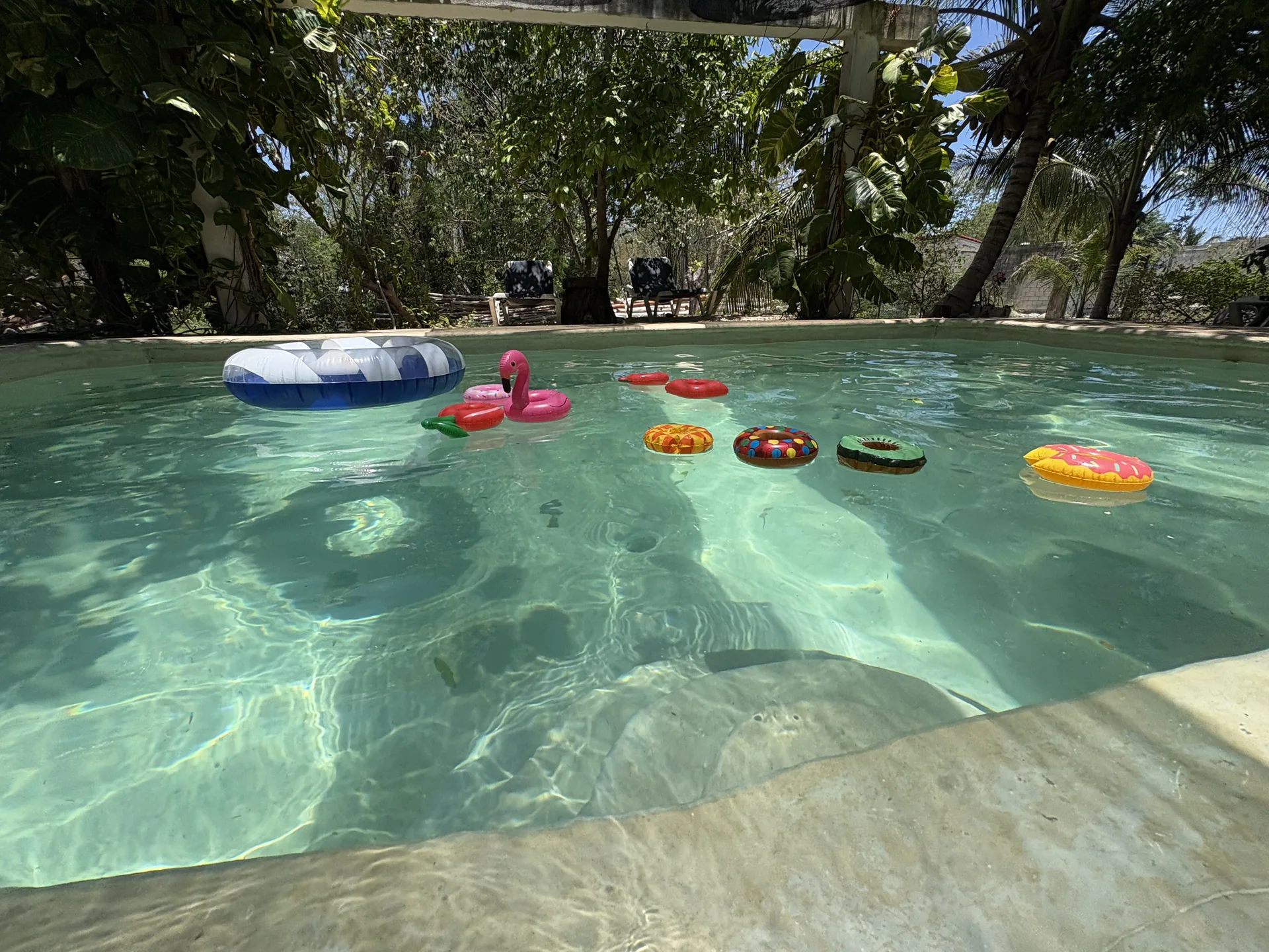 Pool Party