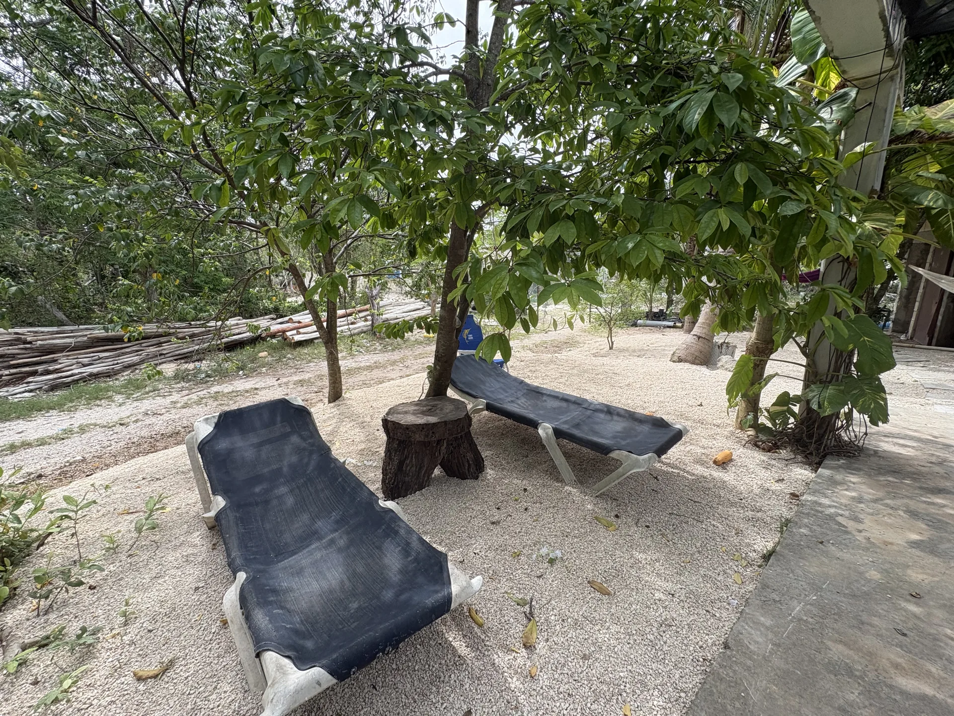 Hora de siesta